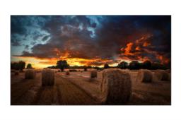 Monitor LCD Samsung 46" VM46B-U LH46VMBUBGBXEN Wewnętrzny