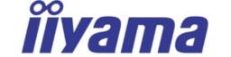 iiyama All -in-one Conference Bar Camera Spea kamera internetowa 8,29 MP