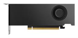 NVIDIA RTX 2000 Ada Generation - Karta graficzna - PCI-Express