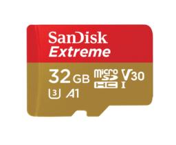 Sandisk microSDHC Action